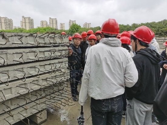 彩客网比分
