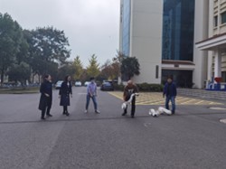 彩客网比分